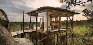 Lion Sands, Sabi Sand Safari – Tourism, Hospitality, Resorts, Travel, Honey Moons, Hotels, Holidays, Vacations, Food & Beverages, Accommodation, Tree House, Wildlife – South Africa